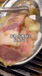 にんにく焼肉 プルシン – たちあがれ ニッポン。私たちプルシンは